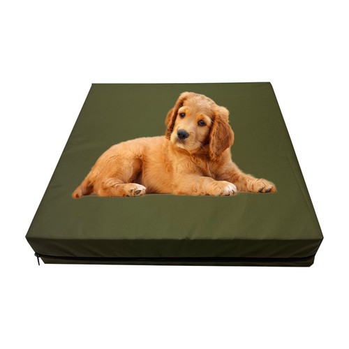 Heavy duty dog cage - dog, bed