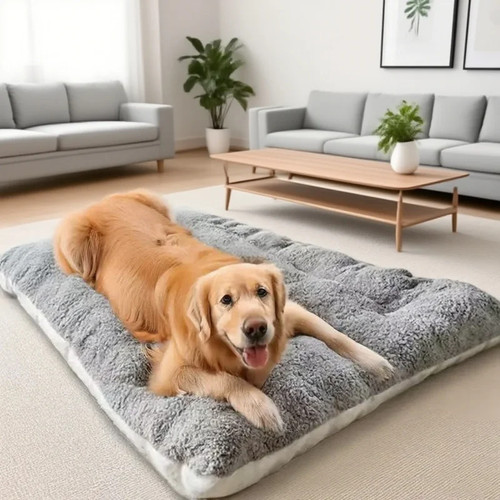 Large plush dog bed - dog, sofa