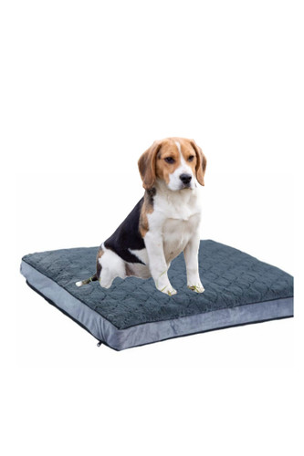 Reversible dog cat - cat, cover