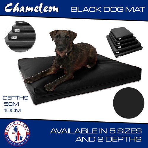 Black dog cage - cage, crate