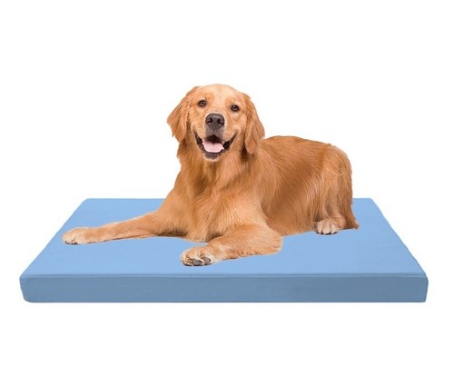 Dog cage bed - dog,
