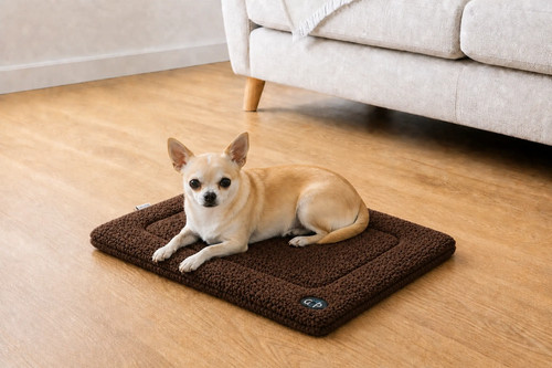 Washable dog crate - dog,