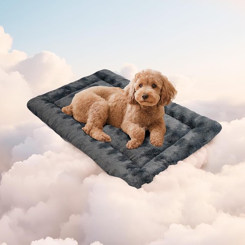 Medium dog crate bed - dog,