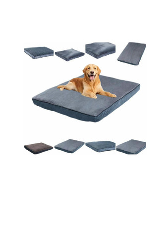 Reversible dog cat - dog,