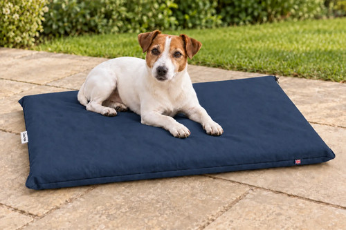 Dog cage mat - dog,