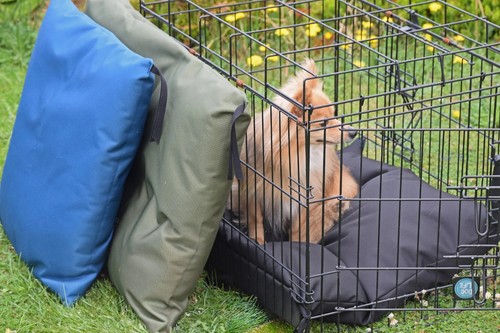Waterproof dog crate mat - waterproof,