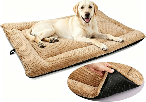 Washable large dog - washable,