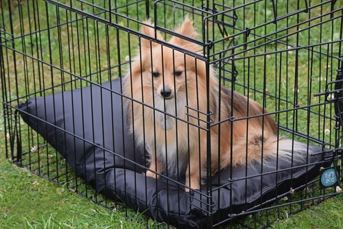 Waterproof wipe clean - waterproof,, crate