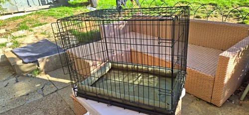 Medium folding metal dog crate - medium,